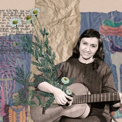 Timeline: El florecer de Violeta