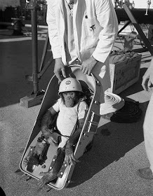 El primer homínido en el espacio