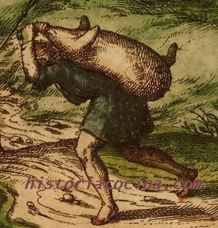 Domesticación del cerdo