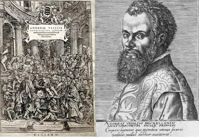 Andres Vesalio