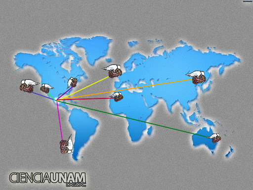 “La fuga de cerebros”