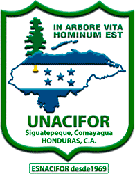 Universidad Nacional de Ciencias Forestales