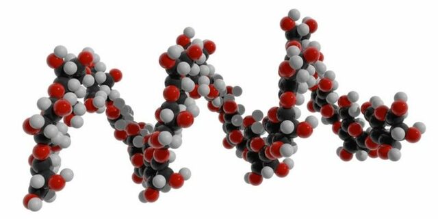 3.500 Millones de Años - Evolución Celular