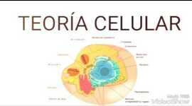 Timeline: Línea de tiempo de las teorías celulares
