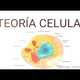 Teoria celular