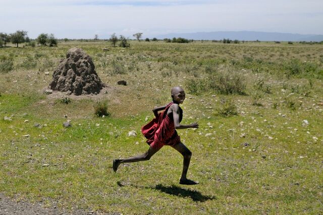 Salva runs into the Bush