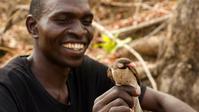 Salva and Bukusa discover honey with birds!