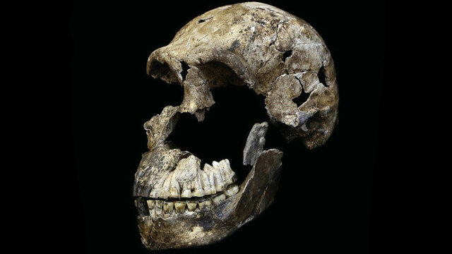 Primeres evidències humanes a la Península