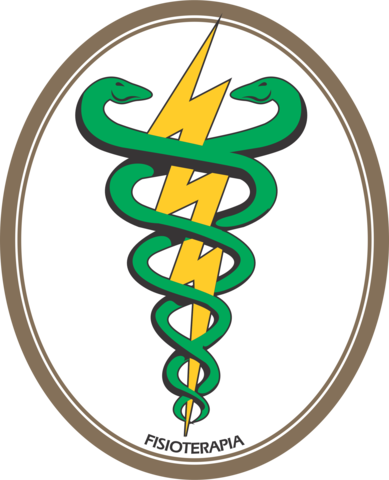 Reconhecimento da profissão em nível superior.