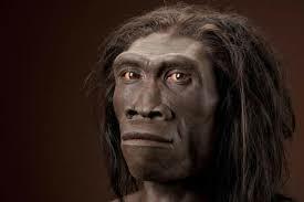 Homo Erectus A.C