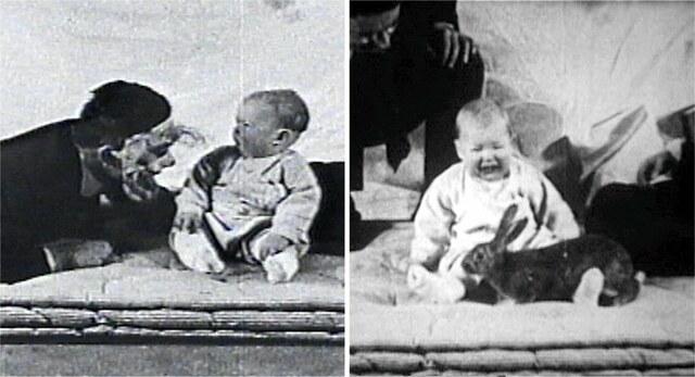 John B. Watson y su experimento con los niños