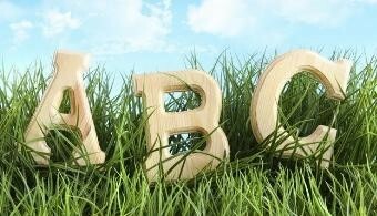 Oficialmente Idioma Español