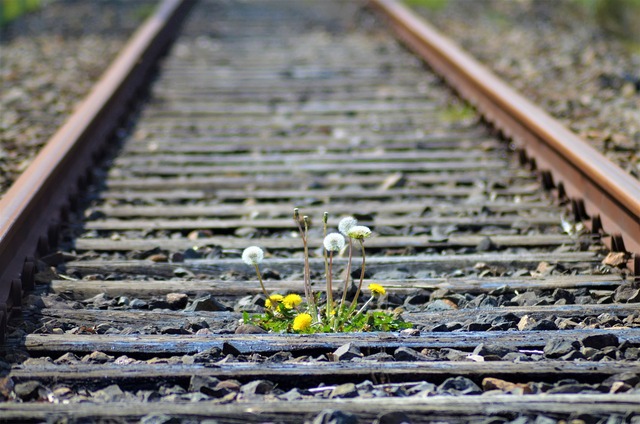 The Romantic Period (1785–1832)