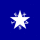 Texasflag