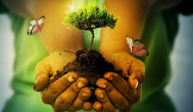 Protección del medio ambiente