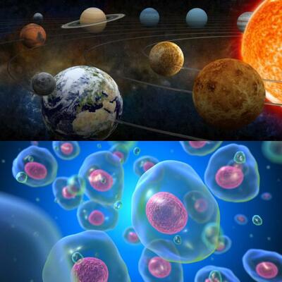 Timeline: Línea de tiempo de los inicios del planeta tierra hasta la evolución celular de procariotas y eucariotas