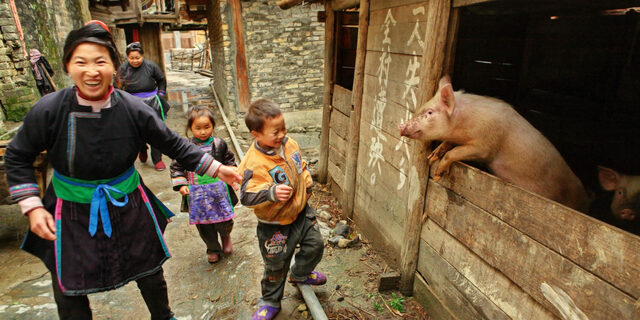 La domesticación tuvo origen en China
