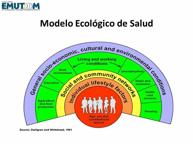 Modelo Ecológico