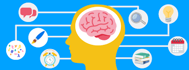 comienza los estudios sobre el liderazgo siglo XX