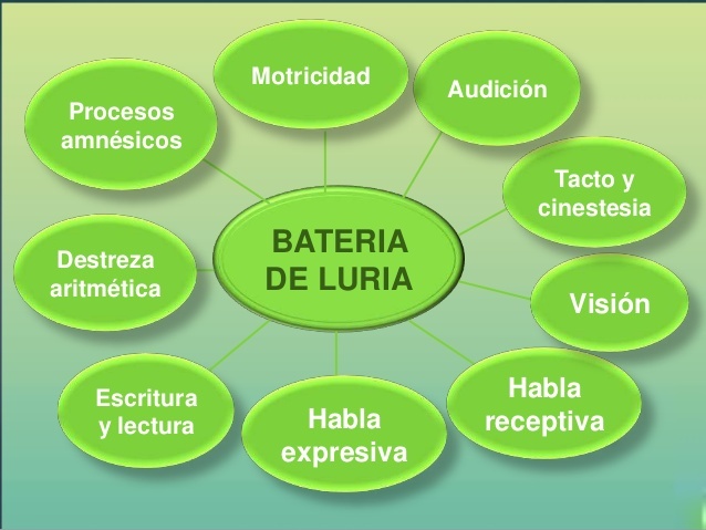 El Modelo de Aalexander Romanovich Luria