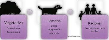 Elementos según Aristóteles