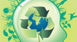 Timeline: Educación ambiental en Colombia