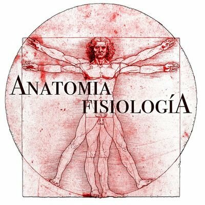 Herófilo y Erasístrato