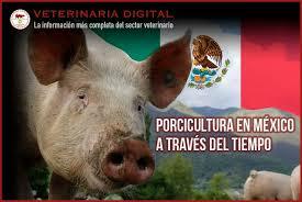 Porcicultura en mexico