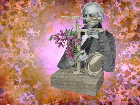 Robert Brown (1773–1858)