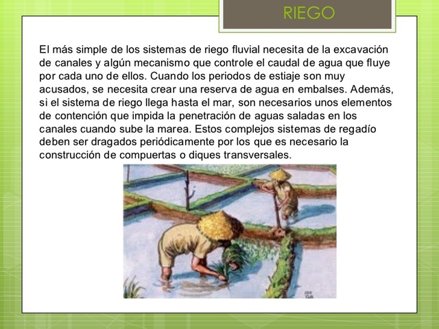 Dinastía Chan 1120 a. C- 249 a. C