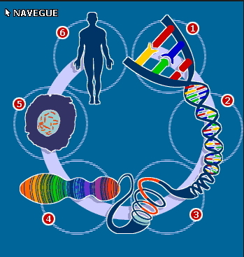 Discusión sobre la creación de la comisión nacional asesora de bioética