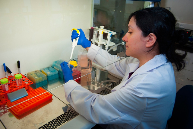 Desarrollo y prevención del virus Hanta en Chile.