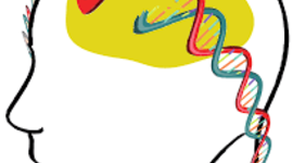 Timeline: Historia de la modificación de la conducta