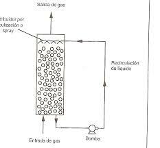 Biorreactor de columna.