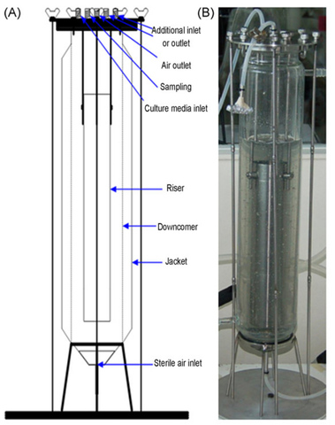Biorreactor Air-Lift.