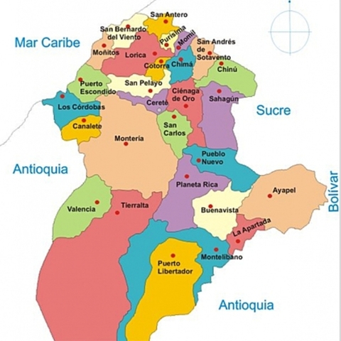 Primeros cerdos en Colombia