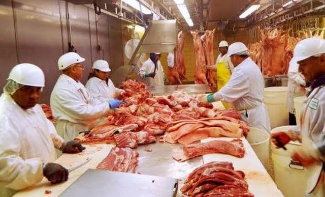 Producción de carne y grasa