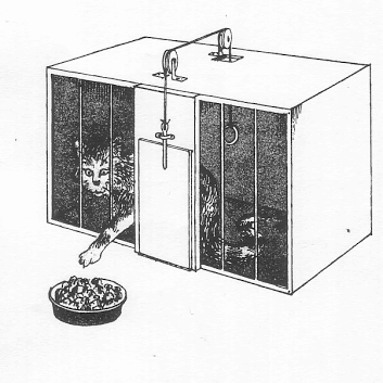 Thorndike experimenta en gatos