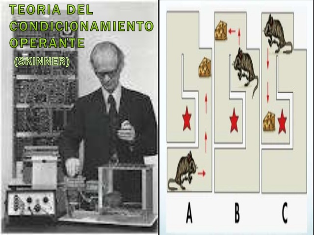 Skinner y Lindsey inician la terapia de conducta