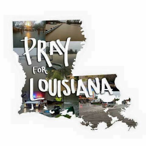 Survived the flood of '16