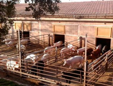 Centros de investigacion