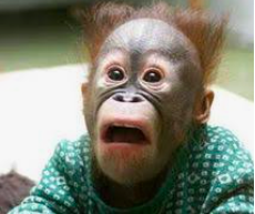 Ooops - I'm a teacher