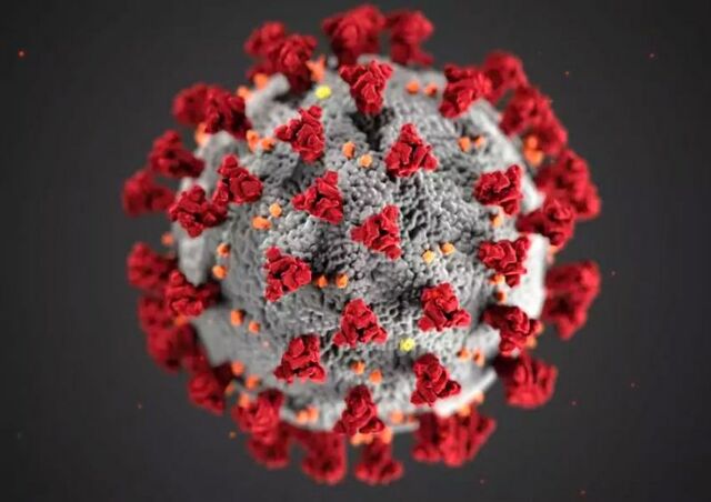 Coronavírus