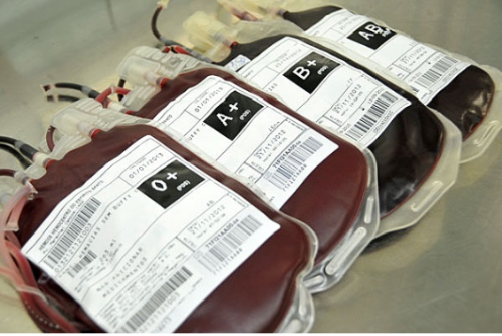 Banco de Sangue