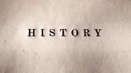 Timeline: m1c history