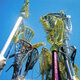 Lacrosse sticks