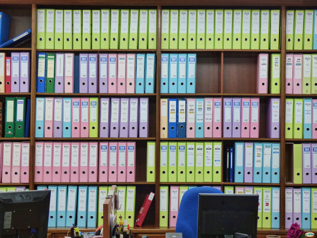 HISTORIA DEL ARCHIVO