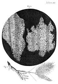 Se Ocupa por Primera vez el término célula
