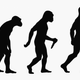 Evolución humana 669x272