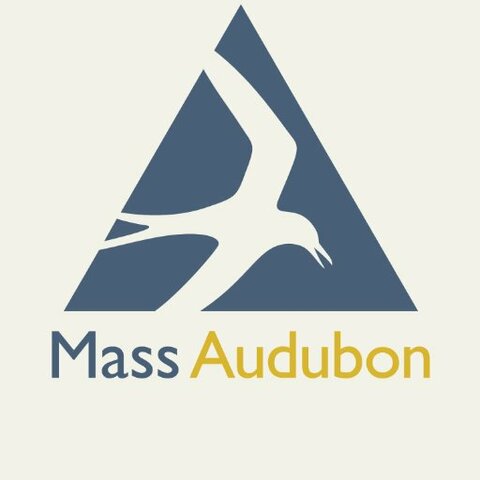 Se funda la Massachusetts Audubon Society